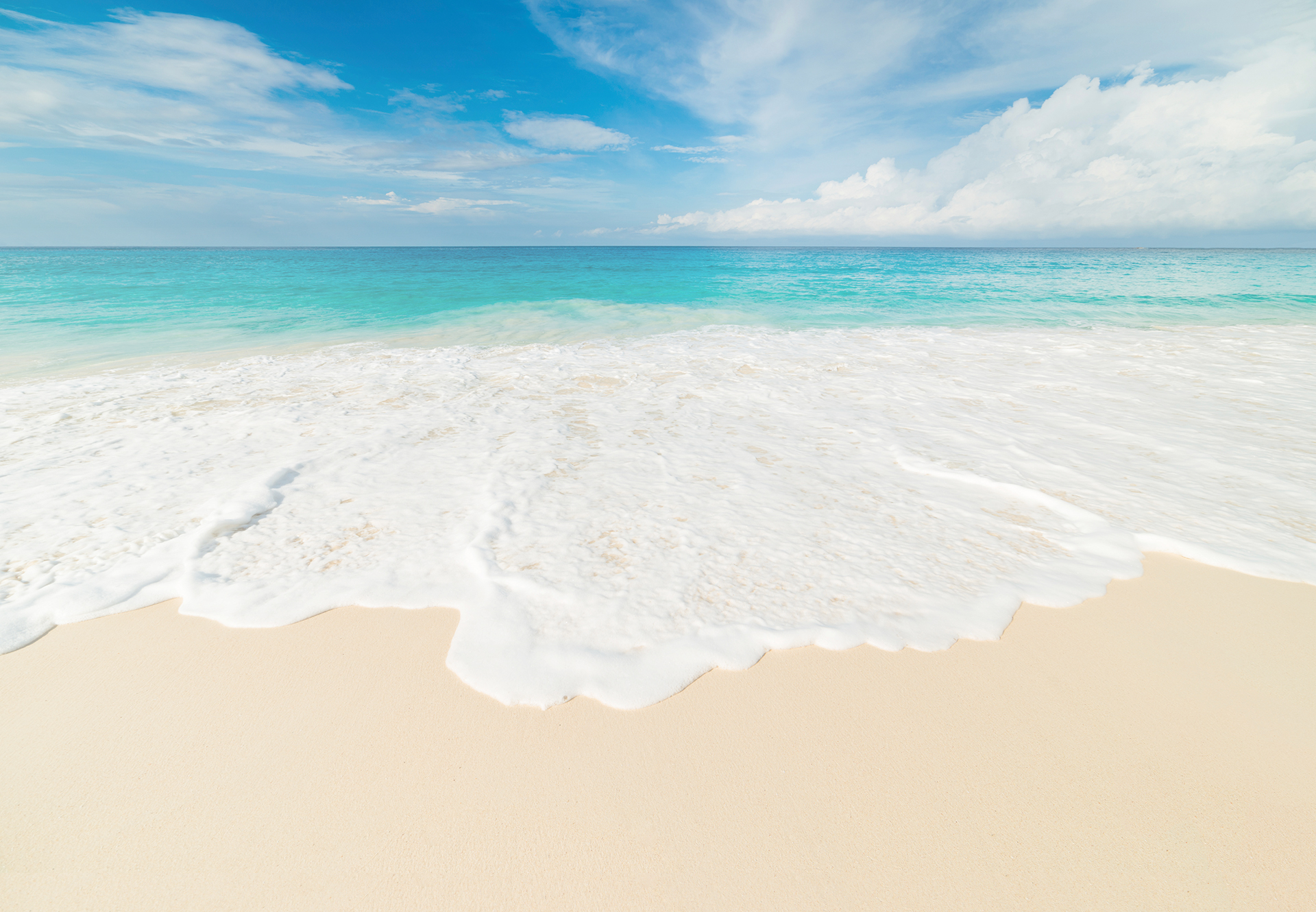 Header Background